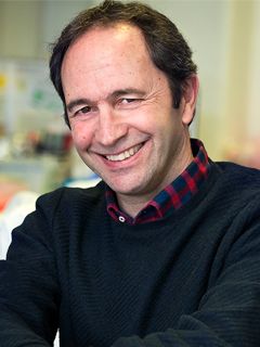 Moises Mallo