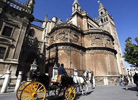 catedral